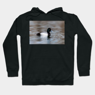 Greater Scaup Hoodie